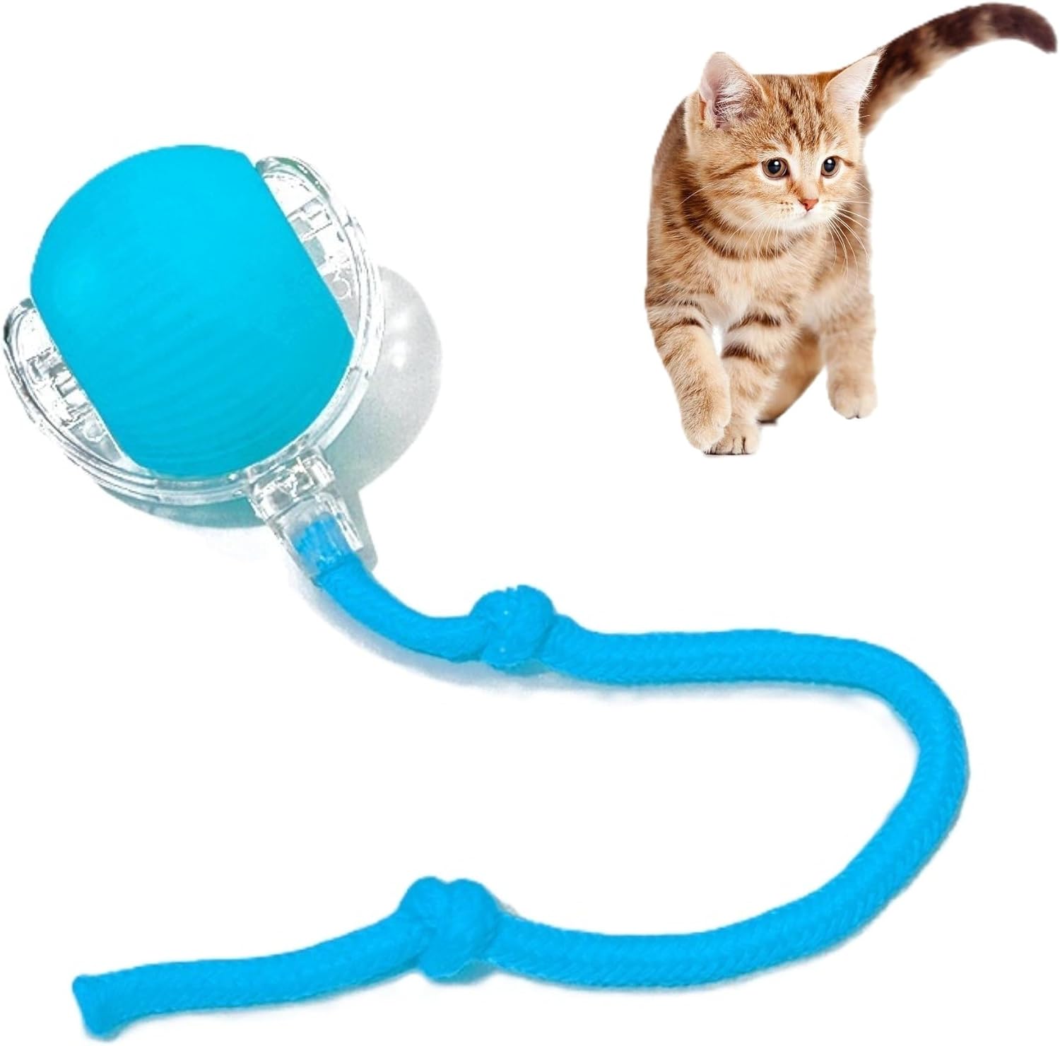Pawlorae Automatic Cat Toy