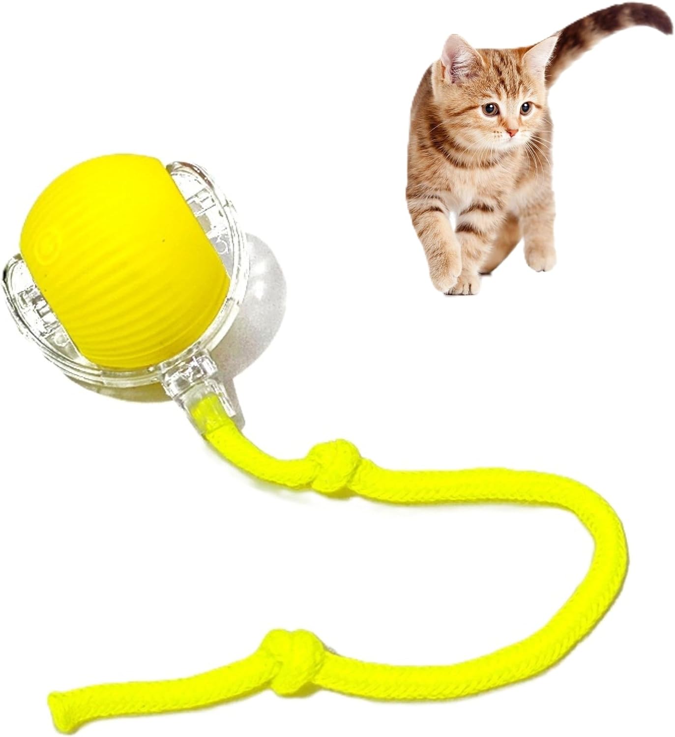 Pawlorae Automatic Cat Toy