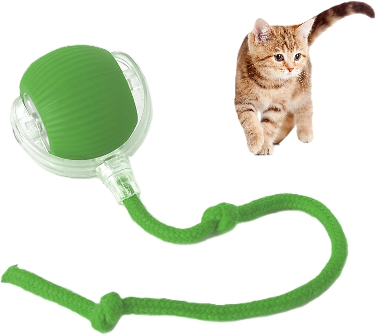 Pawlorae Automatic Cat Toy