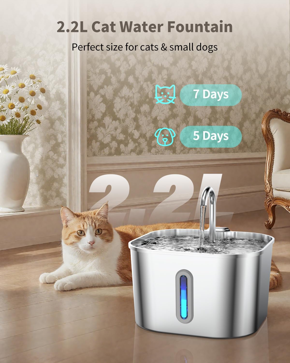 Pawlorae Cat Water Fountain