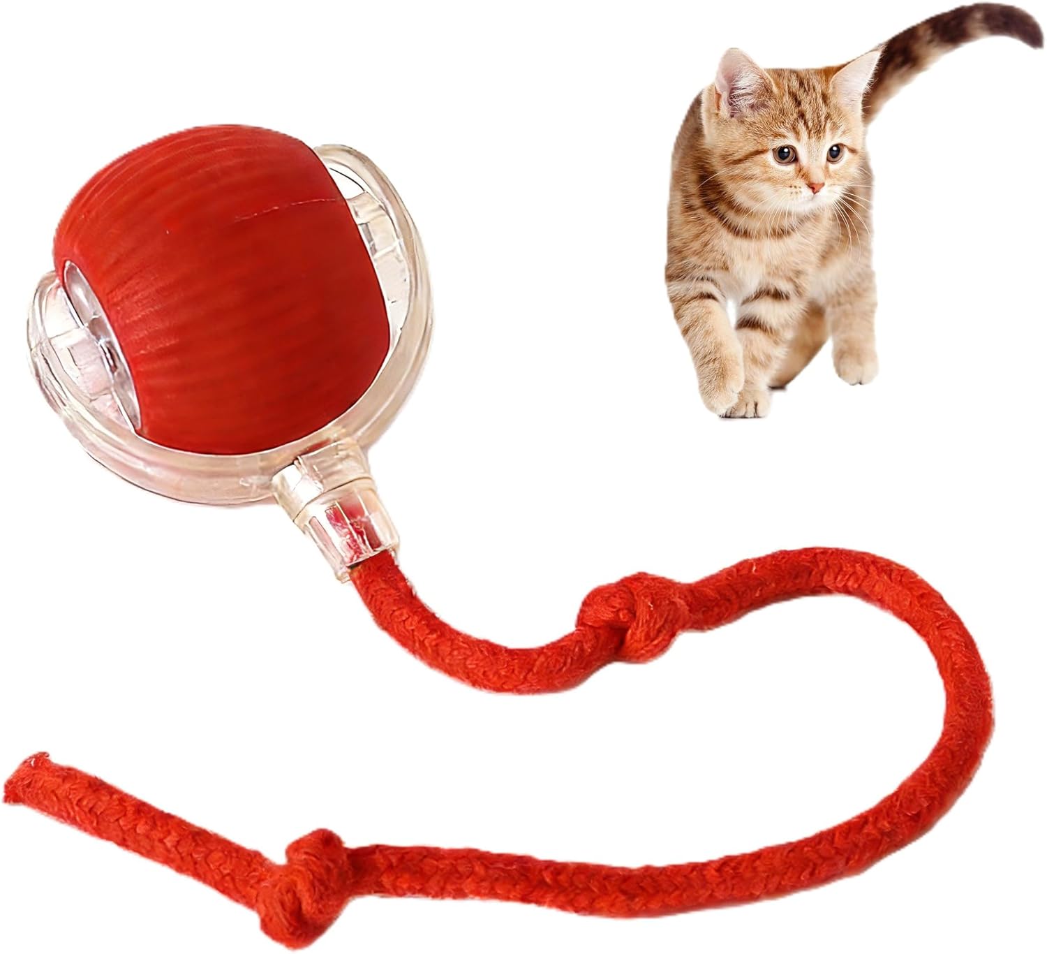 Pawlorae Automatic Cat Toy