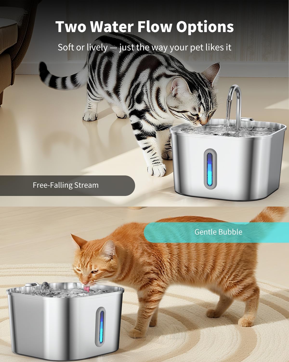 Pawlorae Cat Water Fountain