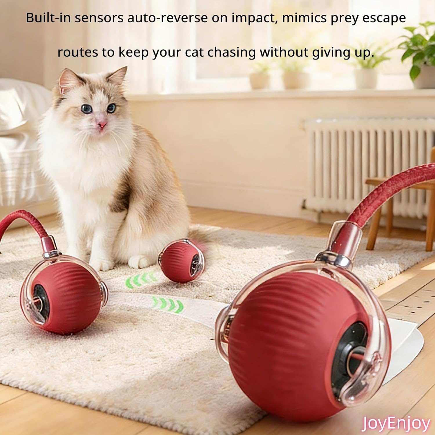 Pawlorae Automatic Cat Toy