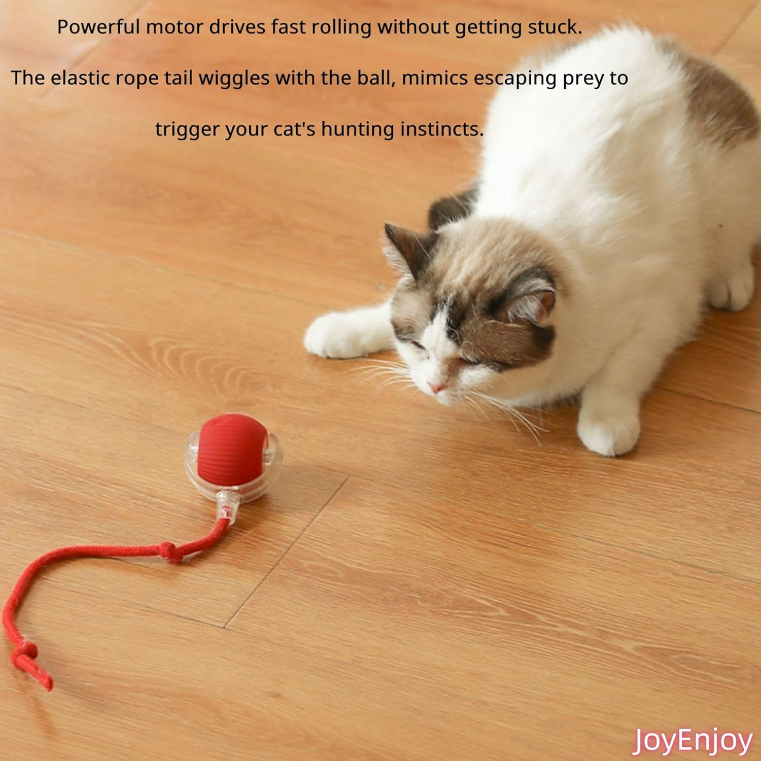Pawlorae Automatic Cat Toy